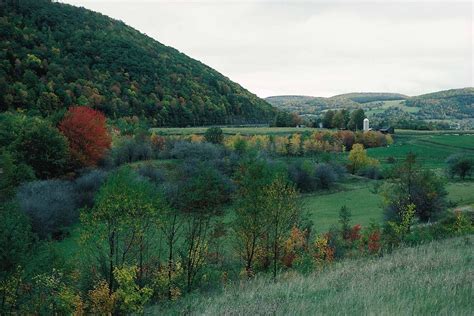 Public Domain Picture Wooded Countryside In Upstate New York Id
