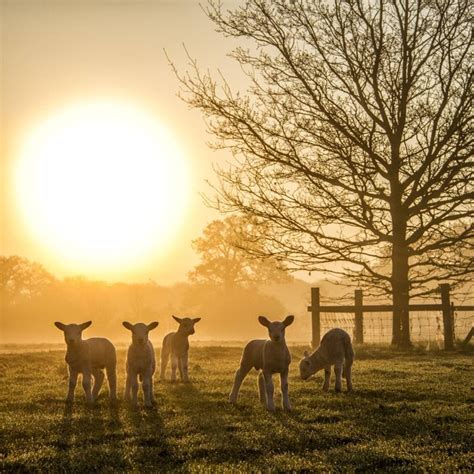 Country Living On Instagram This Mornings Welcome