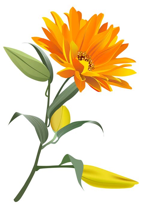 Orange Flower Png Clip Art Image Digital Flowers Flower Clipart