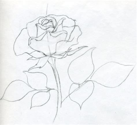 And now, to make our drawing more voluminous, we simply add some shadows to the rose. Draw a Rose Quickly, Simply And Easily