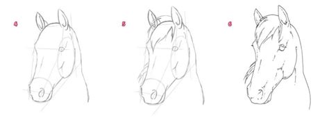 Maybe you would like to learn more about one of these? WEB_Steps-to-drawing-a-horse-head2 | Pony Magazine