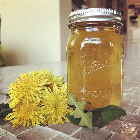 Dandelion Jelly Recipe-Delicate, Honey-Like Flavor of Spring Sunshine