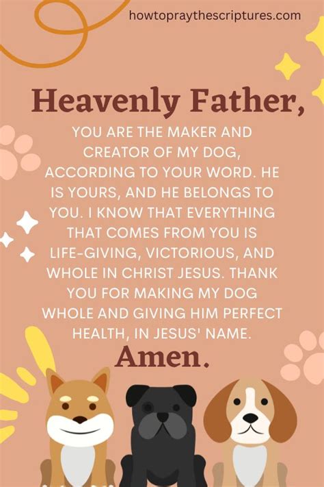 A Prayer For My Sick Dog