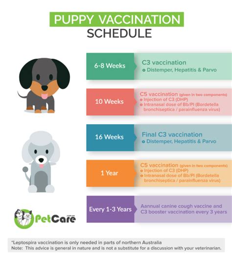 Dog And Puppy Vaccinations Puppy Shots Schedule And Costs