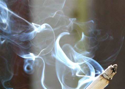 genetic background influences cancer risk of thirdhand smoke exposure biosciences area