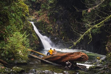 How To Hike To Goldstream Falls Near Victoria Seeing The Elephant