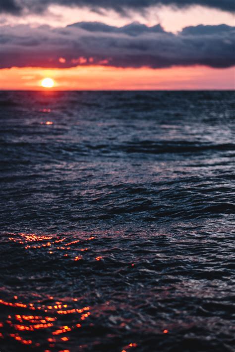 Ripple Sea At Sunset Stock Photo Free Download