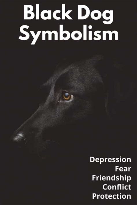 Black Dog Meaning And Symbolism Depression And Conflict