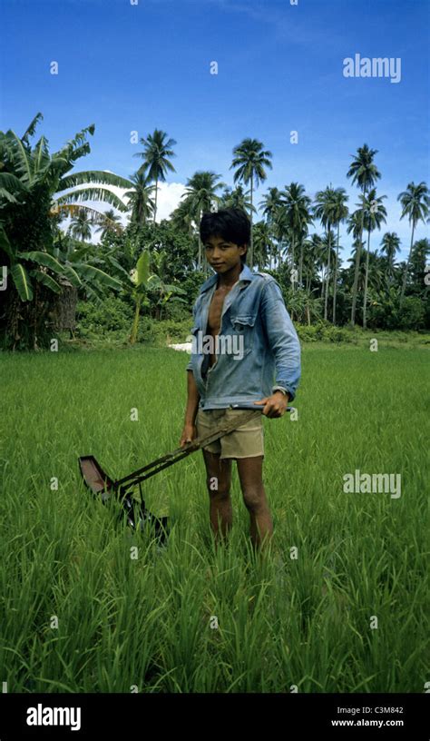 Filipino Farmer Hi Res Stock Photography And Images Alamy