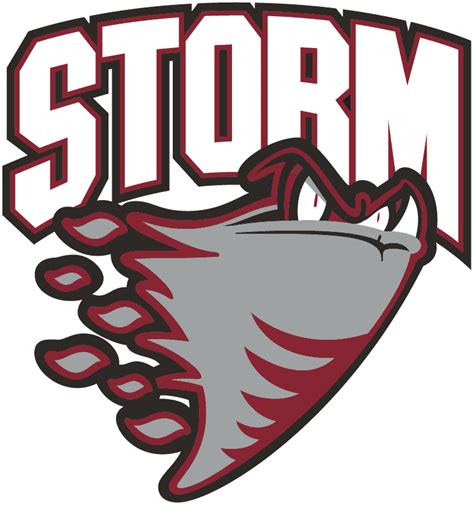 Storm Logo Your Resource To Get Inspired Discover And Connect With