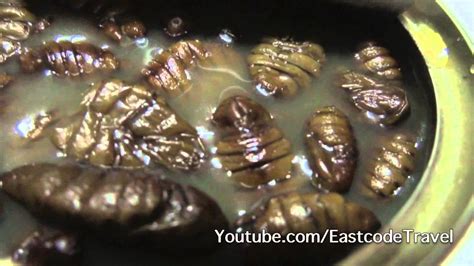 Yummy Canned Korean Silkworm Pupa Youtube