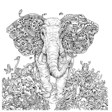 Elephant Adult Coloring Page Coloring Home