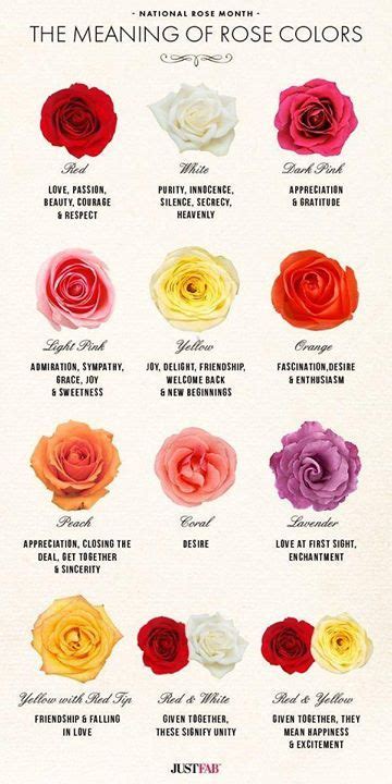 Significado Del Color De Las Rosas Infografia Rosa Color English