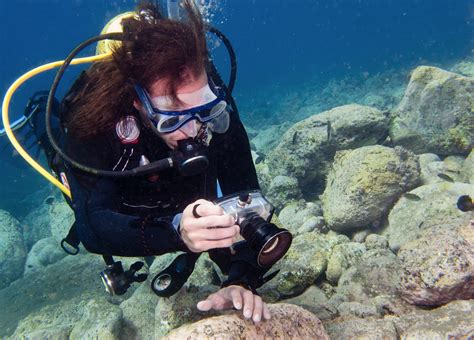 Amarilla Divers Tenerife Diving Tenerife Underwater Photography