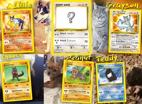 Pokemon Pet Card 3d Art And Collectibles Drawing And Illustration Digital