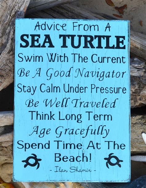 Beach Decor Advice From A Sea Turtle The Sign Shoppe Beach