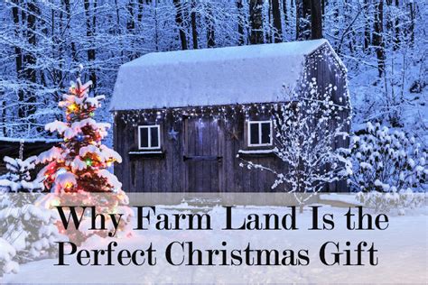 Why Farm Land Is The Perfect Christmas T Hurdle Land And Realty Inc