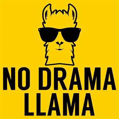 Drama Llama Shirt Textual Tees