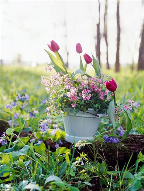 Gorgeous Spring Container Gardens