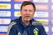 Peter Gerhardsson on his first year in charge of Sweden - VAVEL ...