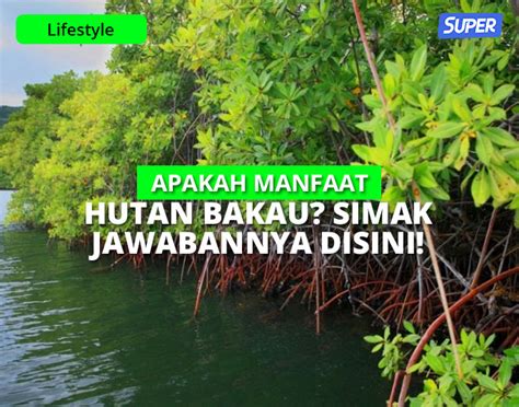 Fauna Di Hutan Bakau Malaysia