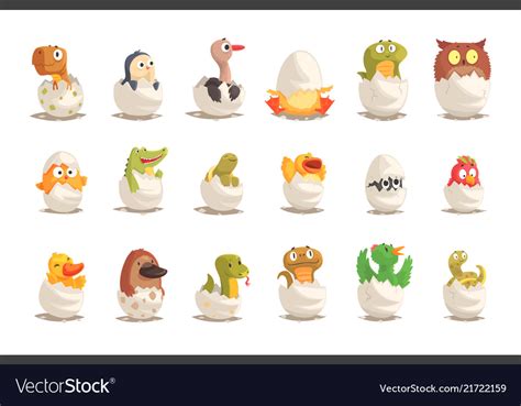 Animals Hatched From Eggs Chart Bmp Lard