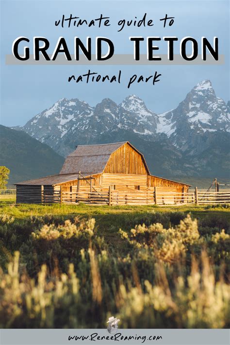 Grand Teton National Park The Ultimate Guide Renee Roaming