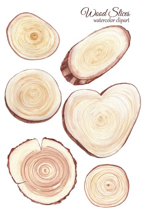 Wood Slices Watercolor Clipart Rustic Wedding Invitation Tree Slices