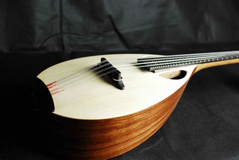 Mandolin Instrumentos Musicales Mandolina Musicales