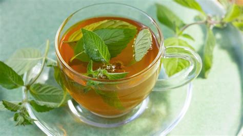 7 science backed benefits of peppermint tea forbes health