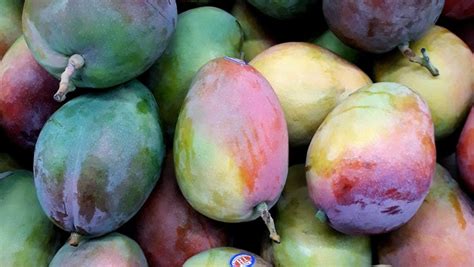 How To Identify Artificially Ripened Mangoes Types Of Induced Ripening