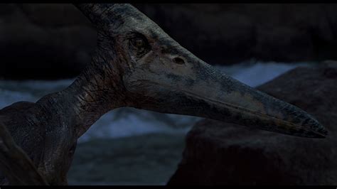 Image Jp3pteranodon Park Pedia Jurassic Park Dinosaurs Stephen Spielberg