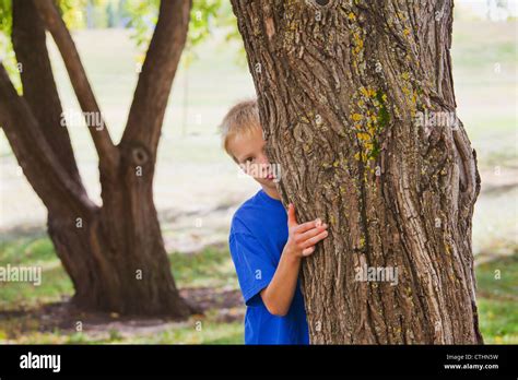 un niño escondido detrás de un árbol en un parque edmonton alberta canadá fotografía de stock