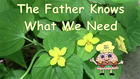 The Father Knows What We Need Wlyrics Youtube