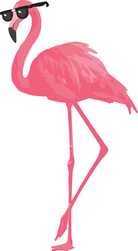 Flamingo Clip Art Flamingo Vector Red Flamingo Pink Bird Flamingo Print Pink Flamingos