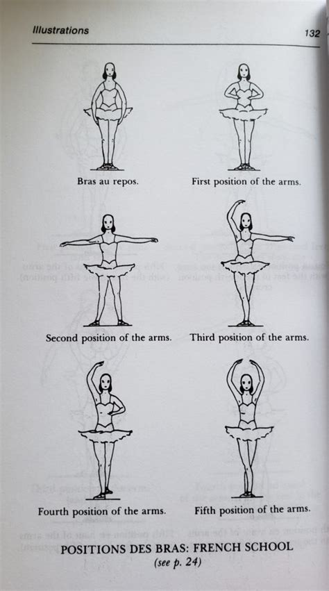pasos basicos de ballet edulisstory