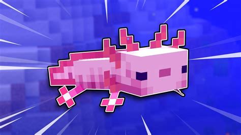 18 Things You Didnt Know About Axolotls In Minecraft Youtube