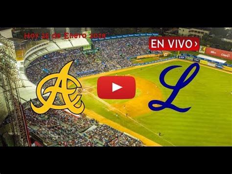 Águilas Vs Licey en Vivo En Estadio Cibao Santiago RD YouTube