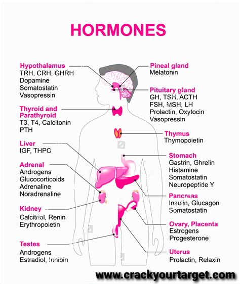 Hormones | Definition ,classification And Transport - An Overview