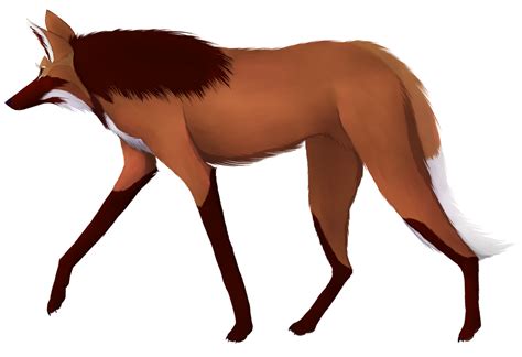 Maned Wolf By Caecuss On Deviantart