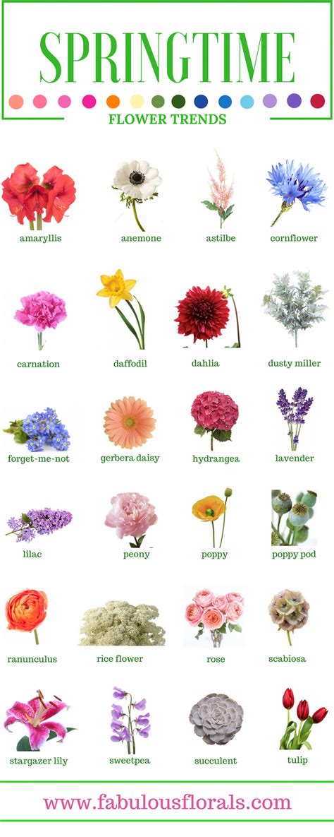 Maybe you would like to learn more about one of these? SPRING FLOWERS - Names of the best Spring flowers.2017 ...
