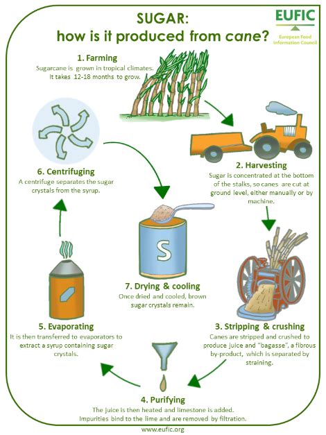 Task Process Chart Sugarcane Harvesting Sexiz Pix
