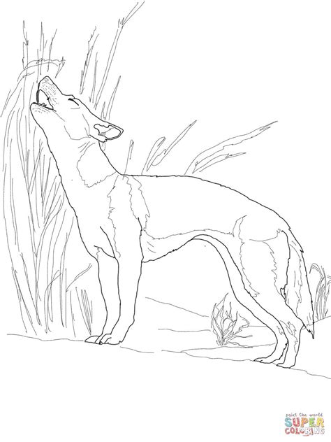 African Wild Dog Coloring Page At Free Printable