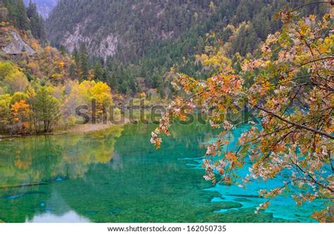 Five Flower Lake Jiuzhaigou National Park Stock Photo Edit Now 162050735