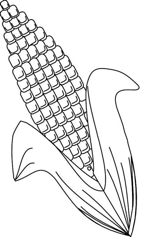 Printable Corn Coloring Page Printable Blank World