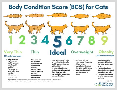 Pet Caloric Needs — Association for Pet Obesity Prevention