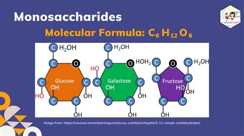 Biochemistry Structure Of Carbohydrates Monosaccharides
