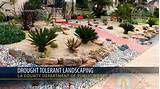 What Is Drought Tolerant Landscaping Pictures