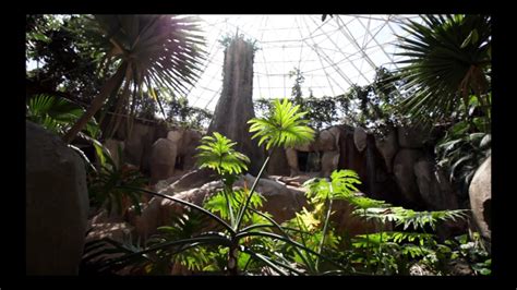 A Day at Fort Worth Zoo - YouTube