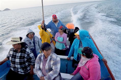 Importante El Papel De La Mujer En La Pesca En México Comisión
